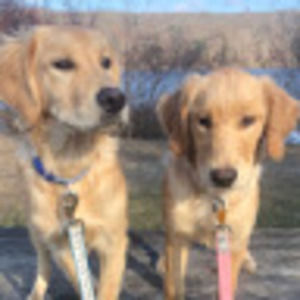 Meet your Posher, Emma